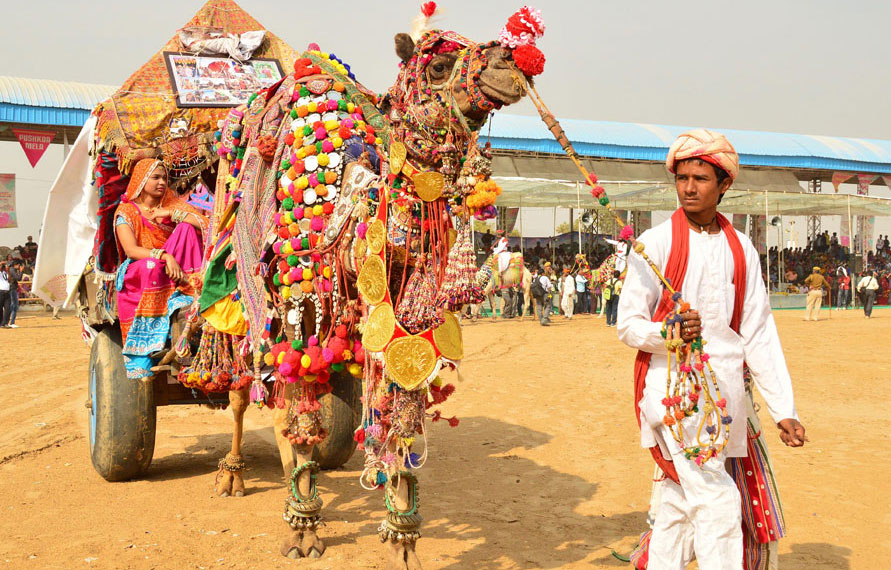 Rajasthan Tour with Pushkar Fair