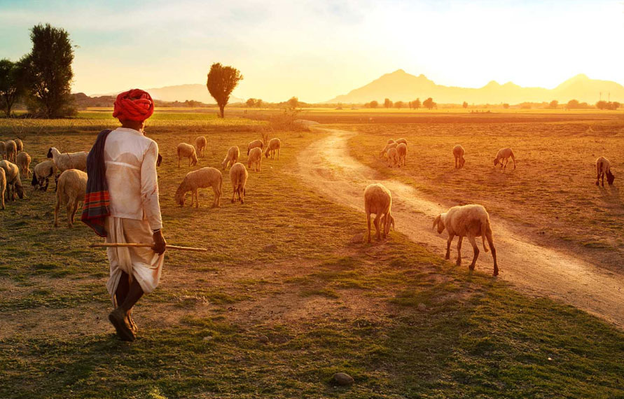 Rural Rajasthan Tour